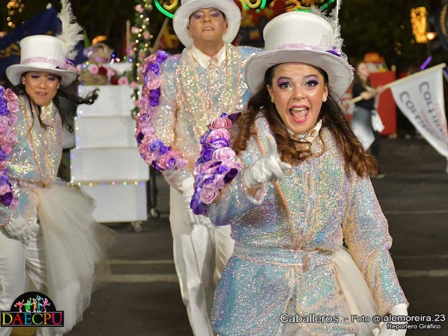 DESFILE_DE_CARNAVAL_247