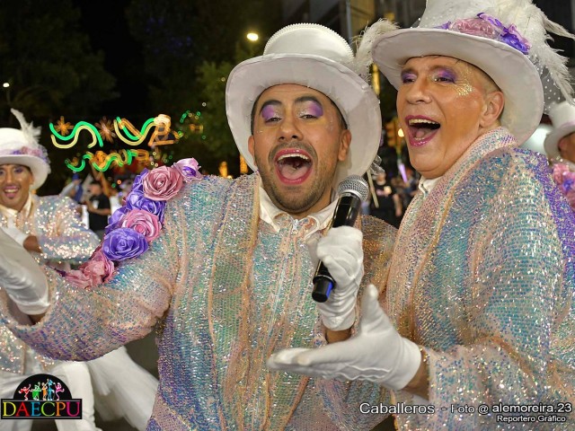 DESFILE_DE_CARNAVAL_248