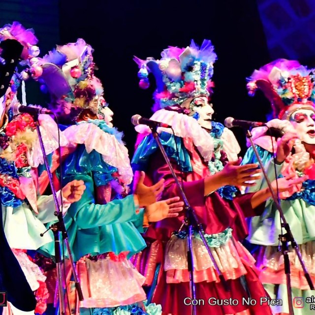 Galer&iacute;a R01/E01 2025